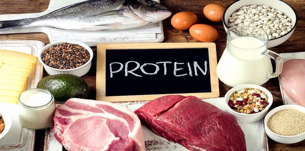 proteins - Sharpe Nutrition | High Performance Nutrition protein