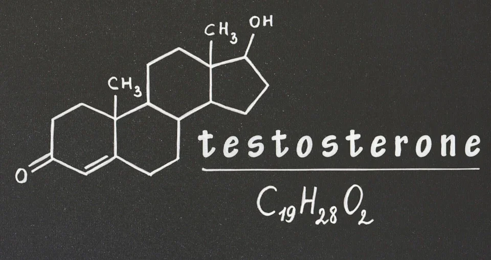 increase-testosterone - Sharpe Nutrition | High Performance Nutrition Increase Testosterone